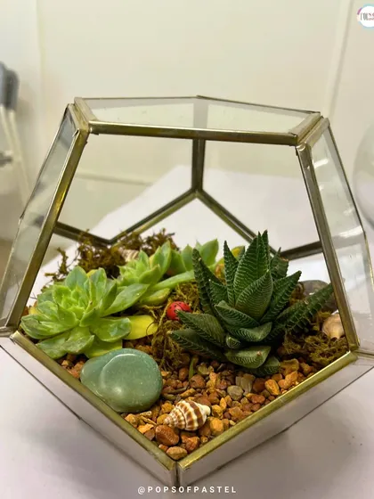 This terrarium uses smooth stones and a simple plant arrangement for a very clean and modern aesthetic.
