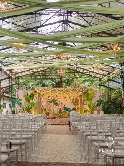 We designed this stunning South Indian wedding mandap in a glasshouse, blending the lush green outdoors with traditional decor. The custom-painted backdrop featuring a majestic peacock and tropical foliage created a vibrant yet sacred atmosphere for the ceremony.