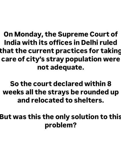 We question the Supreme Court's ruling to round up and relocate all strays in Delhi within 8 weeks. Was this the only solution?