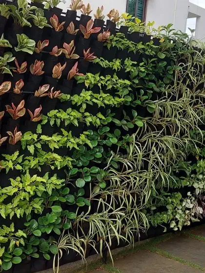A side view of the modular vertical garden, showing how it can be used to green up narrow spaces and corners around a home.