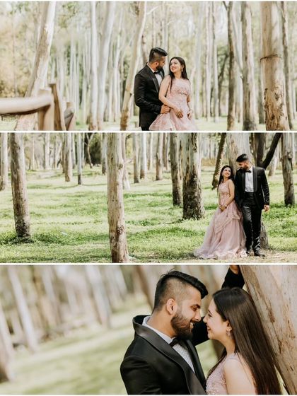 A collage from a pre-wedding shoot in a beautiful forest of tall, slender trees. The formal wear contrasts elegantly with the natural setting, and the close-up shot captures a tender moment.