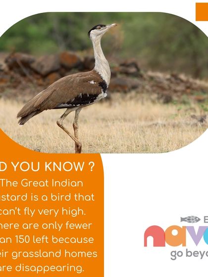 This fact about the Great Indian Bustard raises awareness about habitat loss and its impact on wildlife. My workshops use these real-world examples to teach children about the importance of conservation.