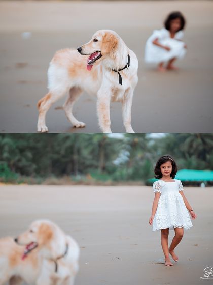A perfect example of how I include pets in family portraits. The family dog stands proudly while the little girl plays in the background, showing that every member of the family is part of the story.