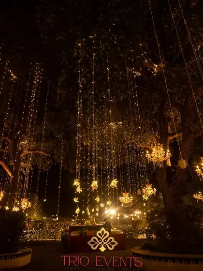 A magical dining area setup under trees adorned with cascading fairy lights and chandeliers. This lighting design creates an enchanting, romantic atmosphere for an outdoor reception dinner.
