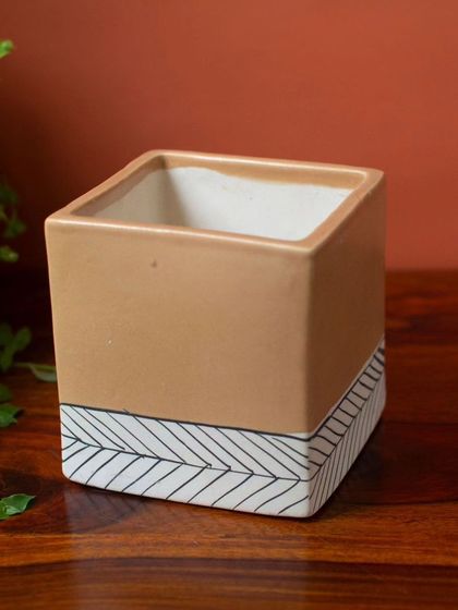 Thorny Affair - Pots & Planters Artisanal Ceramic Planters photo 11