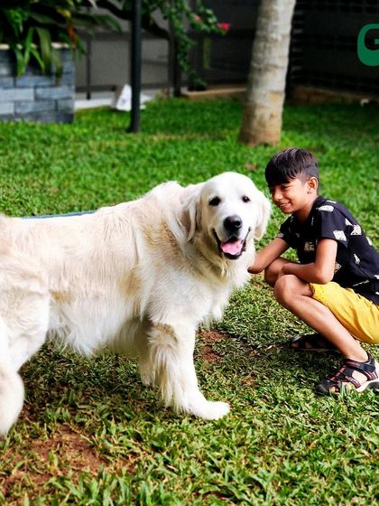 The friendship between kids and dogs is something special. I love providing a space where they can play and create happy memories together.