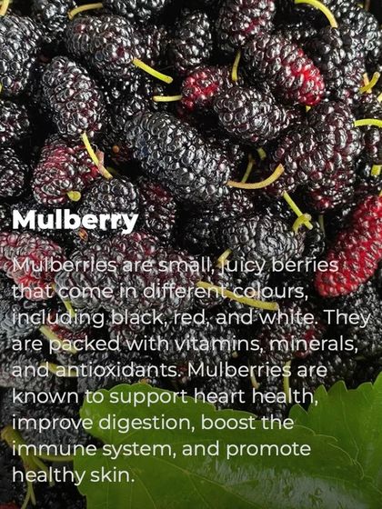 Mulberries, or shahtoot, are juicy berries that support heart health, improve digestion, and boost the immune system. They are a delicious and healthy snack for kids when they are in season.
