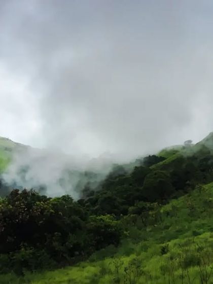 Puneeth - Cinematography for Film & Digital Media Wildlife & The Western Ghats photo 33