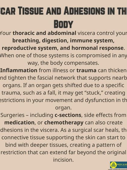 Body & Mind PhysioPilates Studio - Women's Health Physiotherapy My Treatment Philosophy photo 12