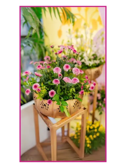 Fresh flowers in wooden planters added a rustic and charming touch to the overall Mehendi decor.