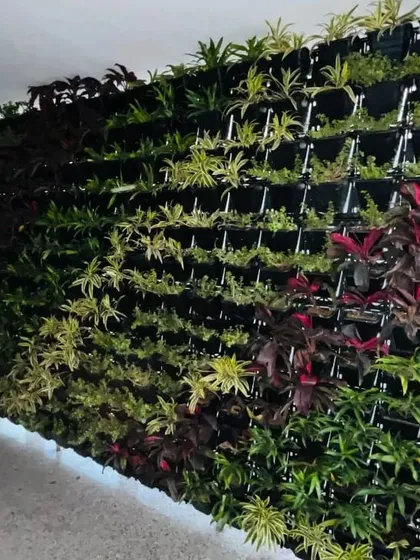 This large-scale living wall at KR Mangalam University is one of our proudest installations. Spanning three floors, this natural vertical garden acts as a natural air purifier and a stunning visual centerpiece for the campus.