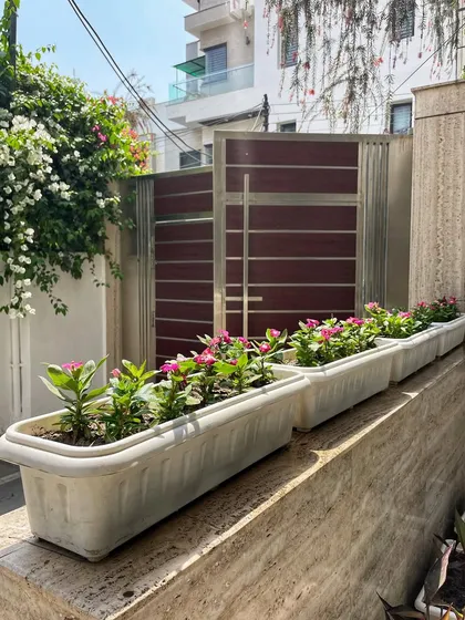 After: For the sunny spot by the gate, we used the same white planters but filled them with seasonal flowering plants like Vinca to add a pop of color to the entrance.