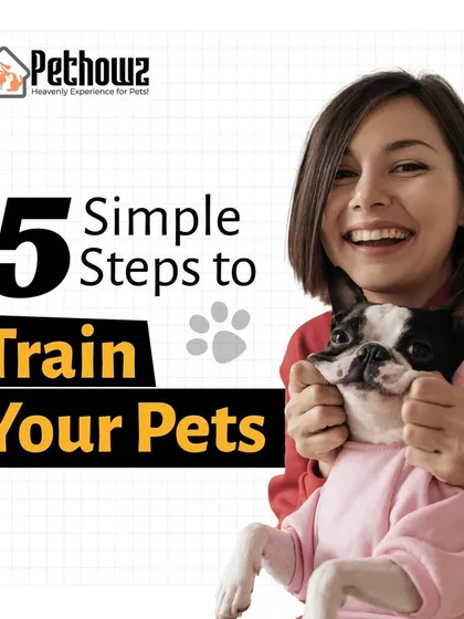We believe training should be a positive experience for you and your pet. This guide introduces our simple, five-step approach to effective pet training, built on a foundation of trust and clear communication.