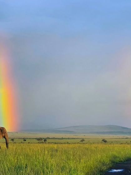 Giants & Other Jewels photo 19