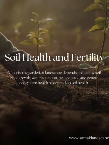 The Art of Planting & Softscaping photo 3