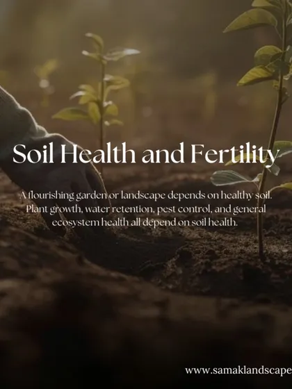 A flourishing landscape starts with healthy soil. We focus on building soil fertility and structure, which is essential for robust plant growth, water retention, and the overall health of the garden ecosystem.