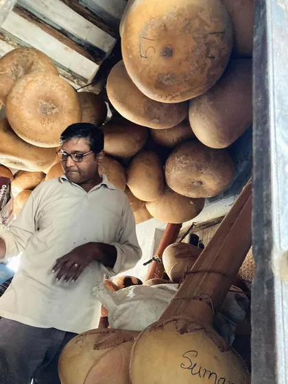 A craftsman inspects the gourds. The quality of the tumba is crucial for the tone and sustain of the sitar.