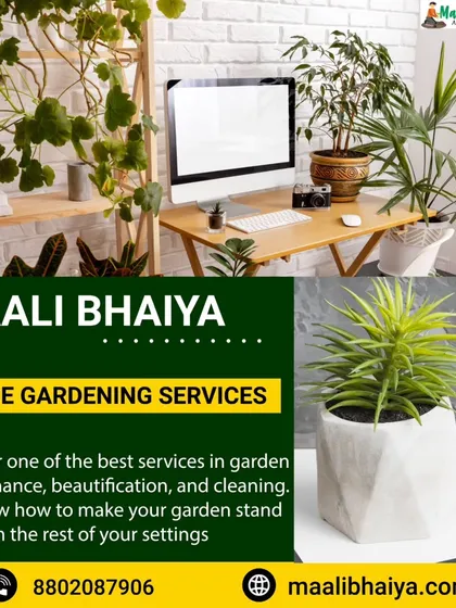 I offer specialized office gardening services to make your workspace stand out. My services include designing the plant layout, providing the plants, and offering regular maintenance to keep them healthy and beautiful.