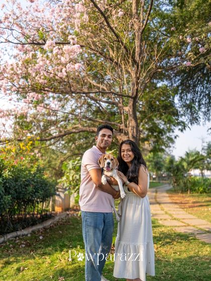 Pawparazzi By Prathima - Pet Milestone Photography Couples, Engagements & Save-the-Dates photo 18