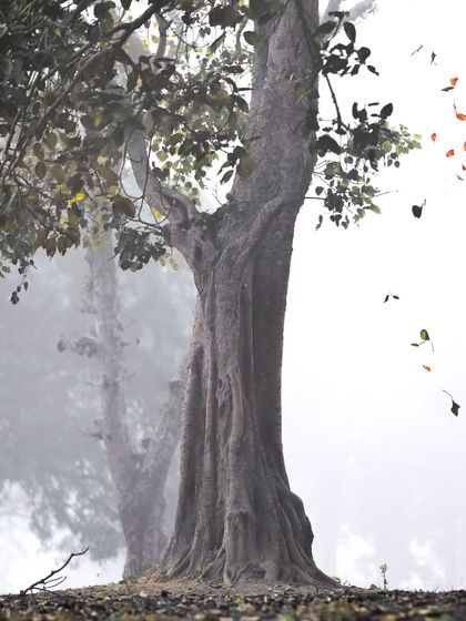 Giants & Other Jewels photo 14