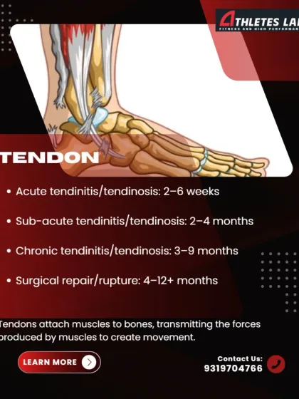 Tendon injuries, like tendinitis, have a longer recovery timeline due to their limited blood flow. Healing can range from 2-6 weeks for an acute issue to over 4 months for a surgical repair.