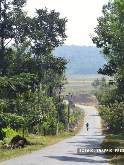 Another shot of the quiet country roads on our Coorg tour, perfect for peaceful and immersive cycling.