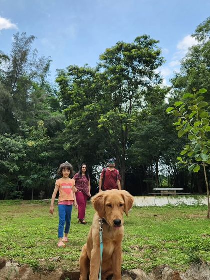 Deepthi - Dog Training & Behavior Modification Community & Group Activities photo 27