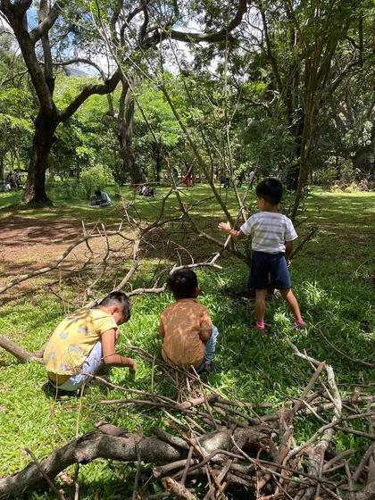 The aftermath of a story session, with kids exploring the natural environment and collecting sticks. We encourage this curiosity and connection to nature.
