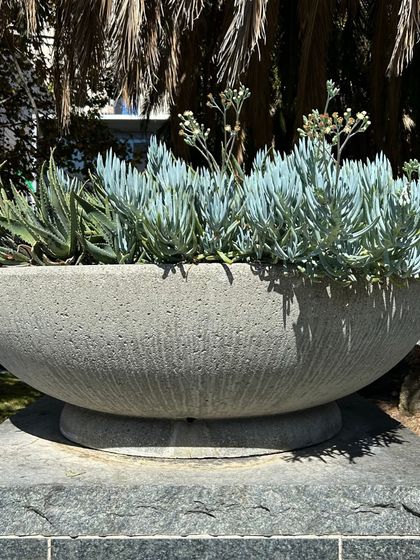 Sustainable Practices & Materials photo 14