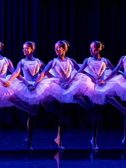 Precision and emotion are at the heart of our work. Our National Youth Ballet performs the iconic "Dance of the Cygnets" from Swan Lake, showcasing the technical skill and perfect synchronization that our dancers train years to achieve.