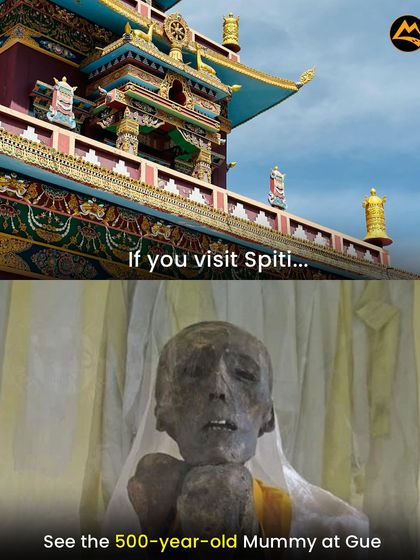 A truly unique sight in Spiti is the 500-year-old self-mummified monk at Gue. It's a fascinating glimpse into the region's spiritual history.