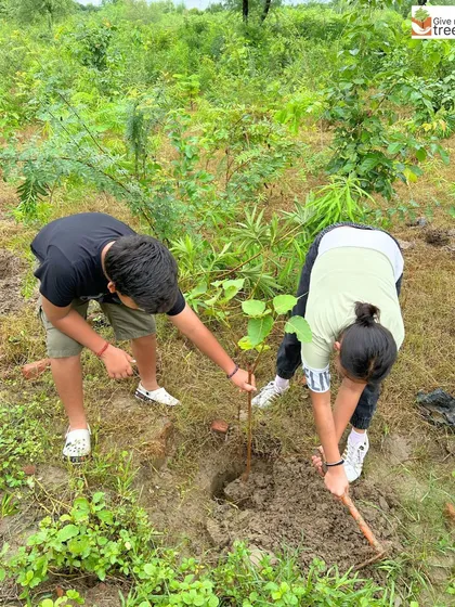 A brother and sister team up to dig a hole for their family's tree. It's a memory they will share for years to come as they watch their tree grow.