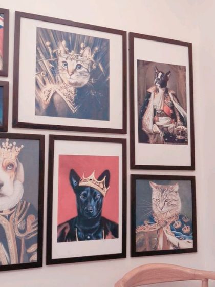 Tails of the City - Pet Supplies Our Pawsome Guests photo 16