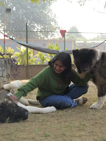 Asha enjoying some playtime and belly rubs with two of our furry guests. Her gentle and loving approach makes every dog feel special.
