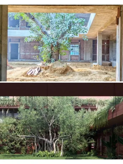 A before-and-after view of the central courtyard at 'Khwabgah', showing how a preserved tree becomes the heart of the home.