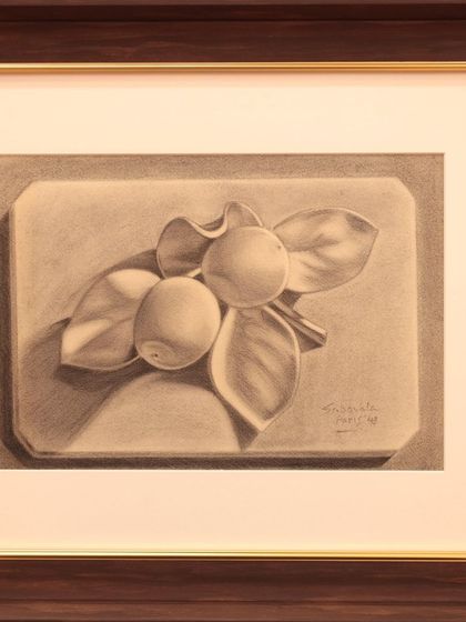 A meticulously shaded sketch of fruit by Jehangir Sabavala, illustrating his academic training and process of building ideas from the 'bare bones.'