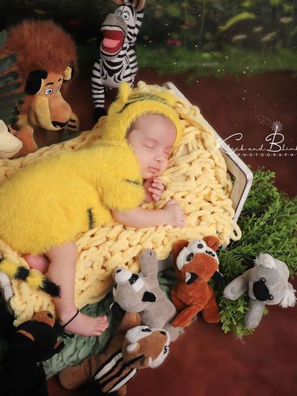 Meghana Merchant - Newborn Photography Creative & Fun Themes photo 13