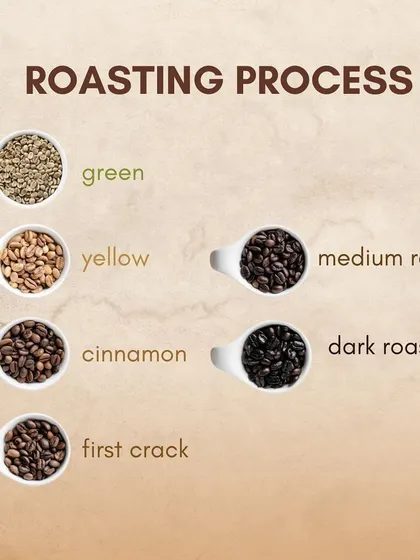 A visual breakdown of the roasting process, showing the beans at different stages like green, yellow, cinnamon, and first crack.