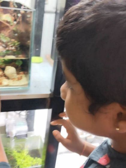 A gallery from our day at the aquarium. The children's faces light up with wonder as they observe the magic of underwater life, from colorful fish to starfish.