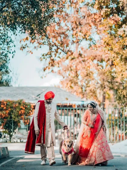 A beautiful moment from a Sikh wedding, where the couple takes a stroll with their beloved golden retriever. We love including pets in your big day, capturing the joy they bring to your family story.