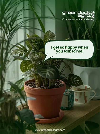While we can't prove that talking to your plants helps, we know that paying close attention to their needs definitely does. We help you listen to their silent language.