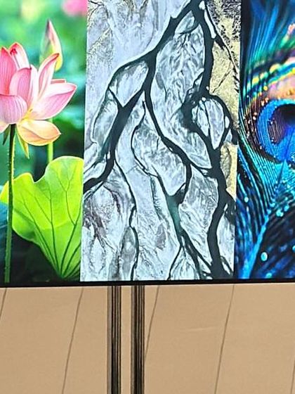 A digital display at WAF showcasing imagery that blends nature and culture, reflecting the themes of inspiration at the festival. This triptych features a lotus, a river delta, and a peacock feather.