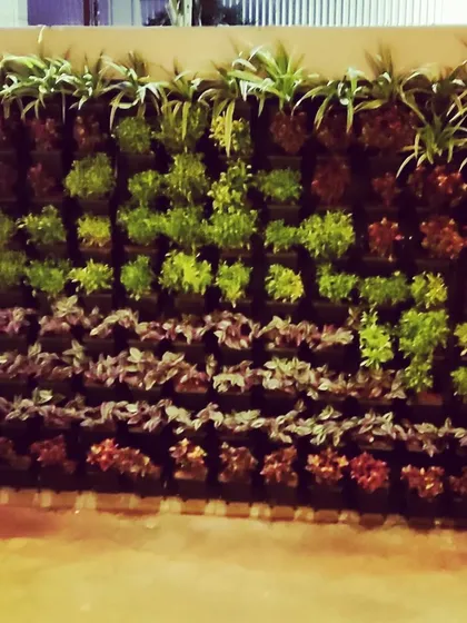 The same vertical garden viewed at night. The textures and deep colors of the plants stand out even in low light, ensuring the space looks good day and night.