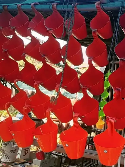 My 6-inch hanging pots are perfect for adding a splash of color to your balcony. They come ready to hang and are available in bulk. Buy now to easily decorate your outdoor space.