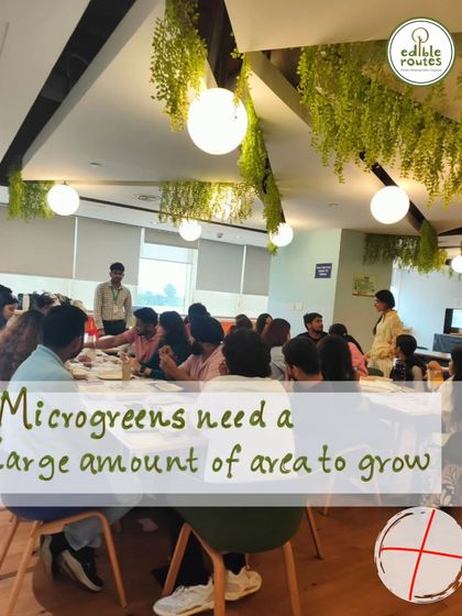You don't need a large amount of area to grow microgreens. This myth is easily busted when participants see how much can be grown in a small tray.