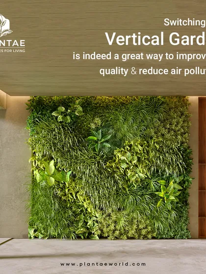 This is how we bring walls to life. An indoor vertical garden, or bio-wall, not only serves as a stunning green art piece but also naturally purifies the air. We design and install these living walls to fit seamlessly into modern homes and offices, creating a healthier and more vibrant environment.