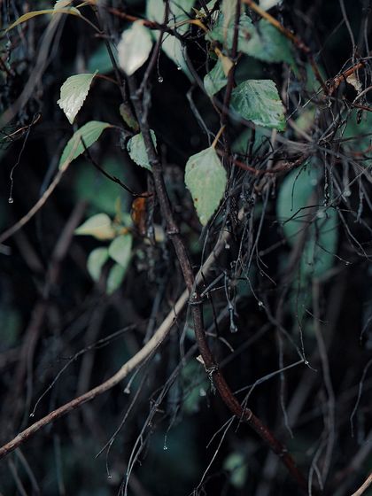 Garima Bhaskar - Photography Services Travel Diaries: Global & Local photo 110