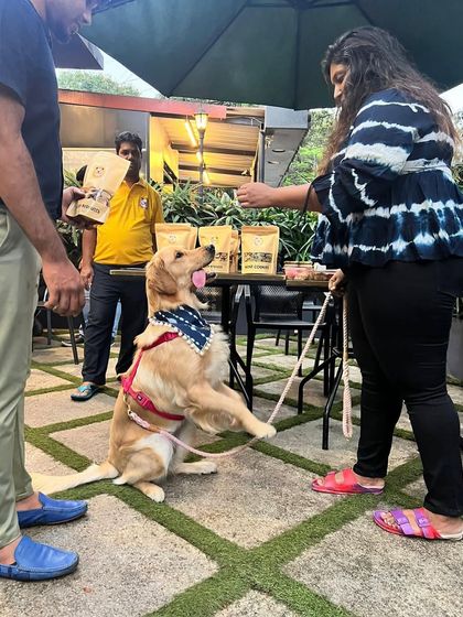 Tails of the City - Pet Supplies Deals, Discounts & Fun Events photo 5