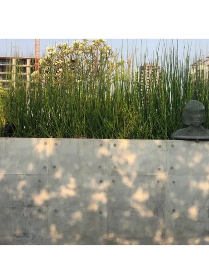 The metal mesh sculpture seen from a distance, peeking out from behind a concrete planter filled with tall grasses. The urban backdrop of buildings under construction contrasts with this curated artistic moment.