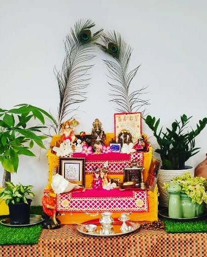 A customer shared this photo of their beautiful home temple (mandir) decorated with my plants, including a Pachira Money Tree and a ZZ plant.